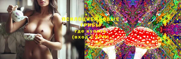 хмурый Нестеровская