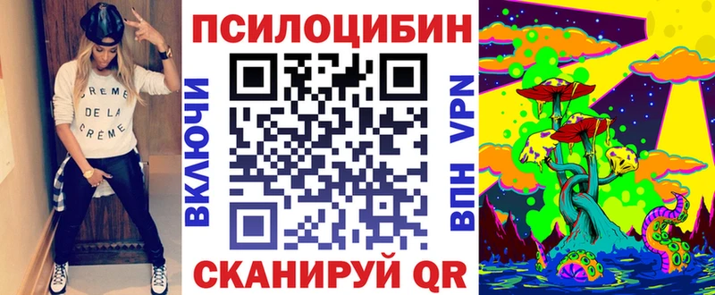 купить наркоту  Макаров  Галлюциногенные грибы MAGIC MUSHROOMS 